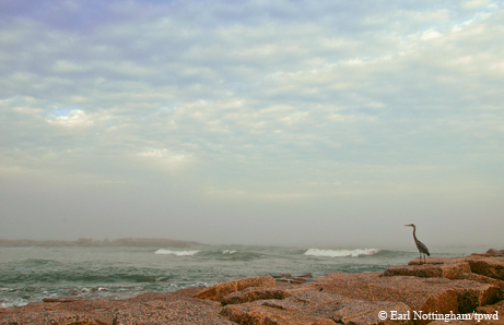Mustang Island